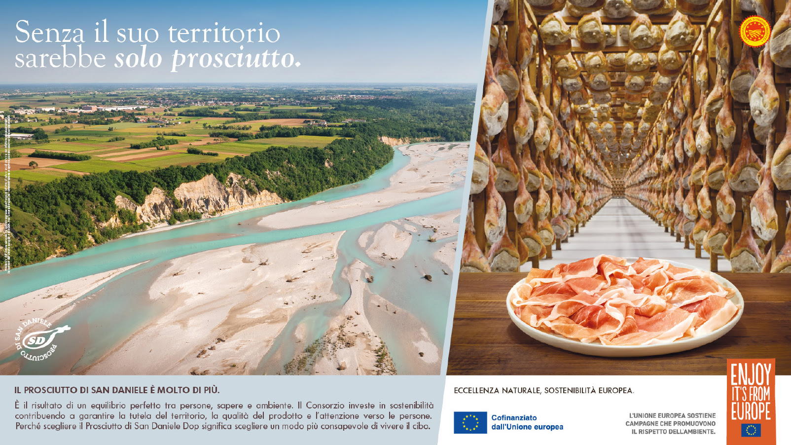 Immagine del Progetto